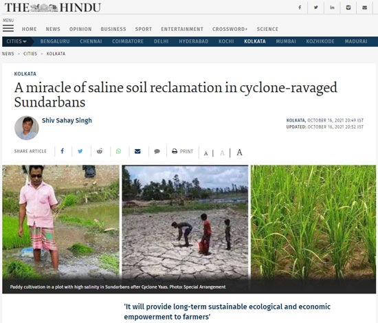 A-miracle-of-saline-soil-reclamation